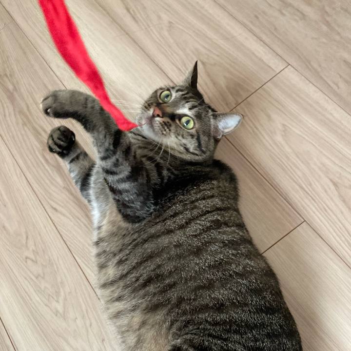 C5908ddc 91a6 4744 840f 1c6005fd2456 1680134193199