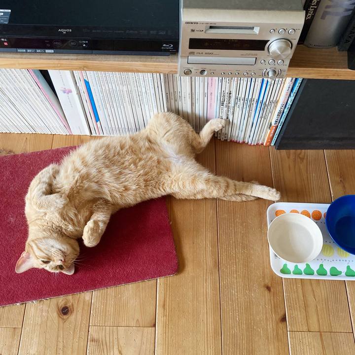 C590c41b 99af 435a 9f31 13de50937909 1595251300905