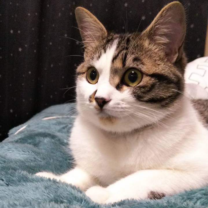 C5910991 6637 4cf4 9c26 d9dd0f7958f9 1619862739742