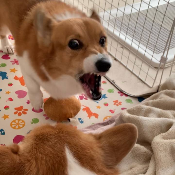 C5910f24 4fde 4219 953a 52b364be8cc8 1700019985165