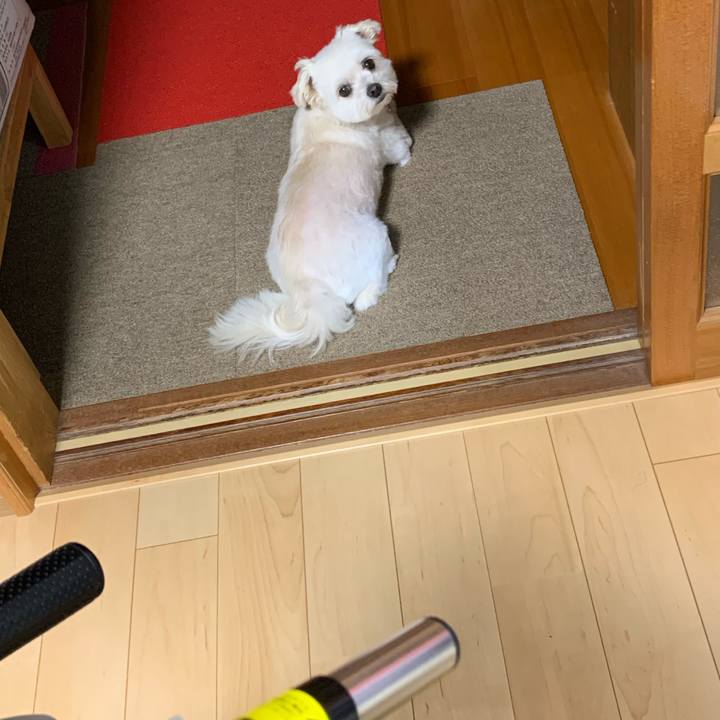 C5914719 bac5 418d 8dc1 bd2d95975d41 1623756139152