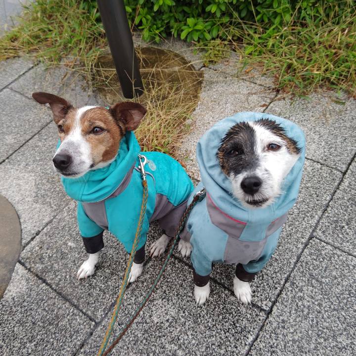 C5914892 a2b6 47c6 a0ac 198b6bab9c5e 1730067116868