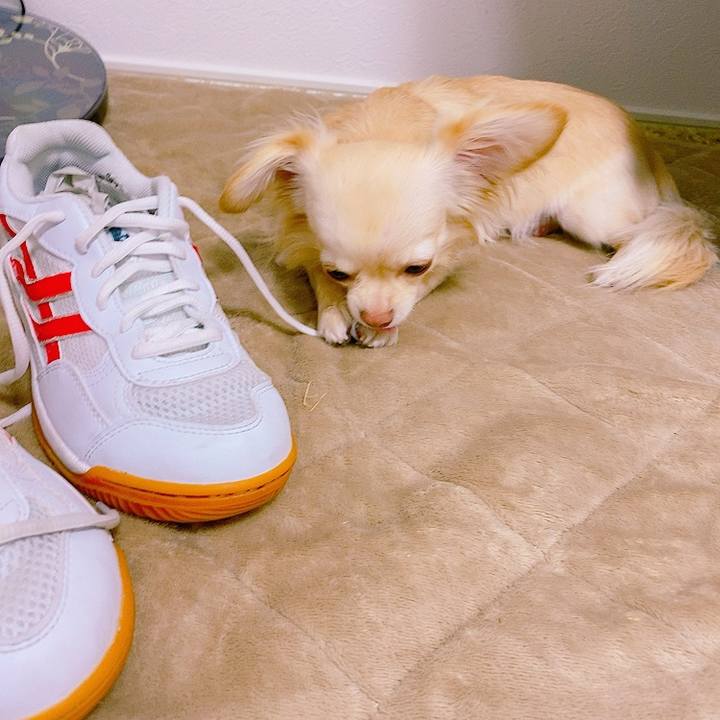 C591591c cdd2 4982 a1ef beb1250d5707 1620216768530