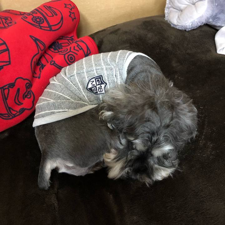 C59193df 1a0e 498b bfad fc565dd59afd 1556603834452