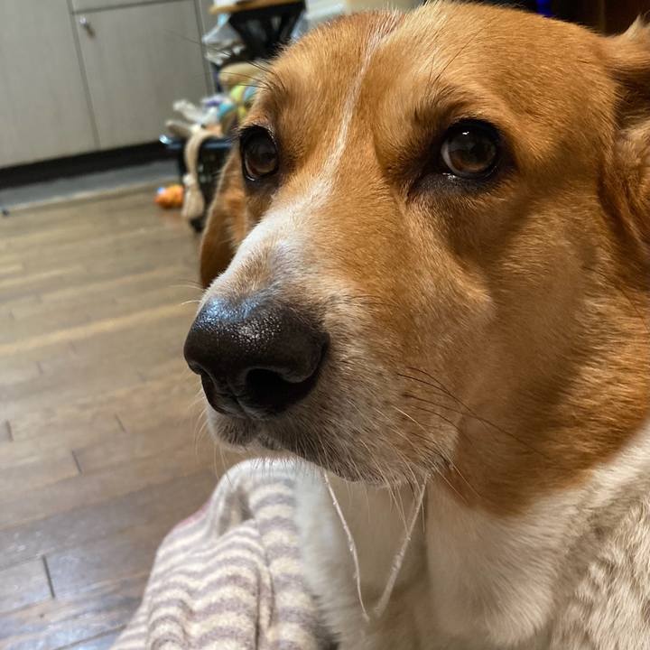 C591b5eb e7b4 4274 887a afa351270553 1760181476946