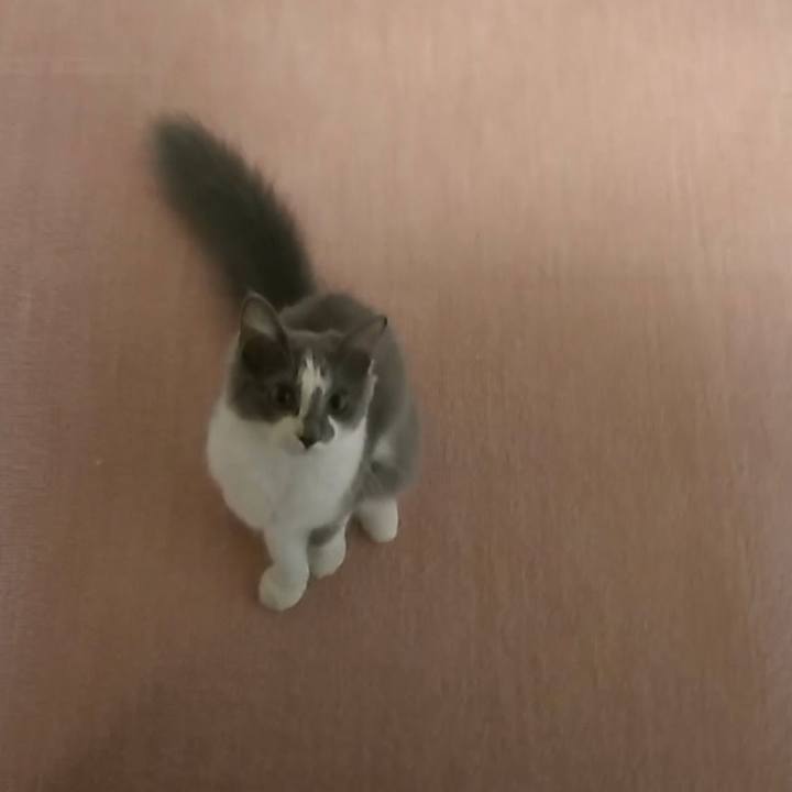 C591be30 6644 443f 8f05 915ffa05f201 1568327679089