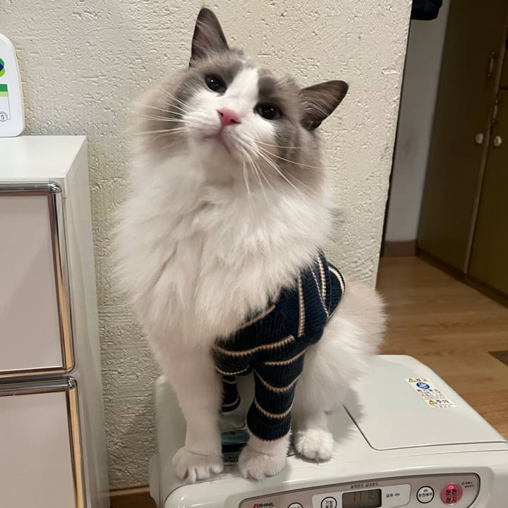 C591c540 b895 45e6 8a43 6711f780380f 1710562036816