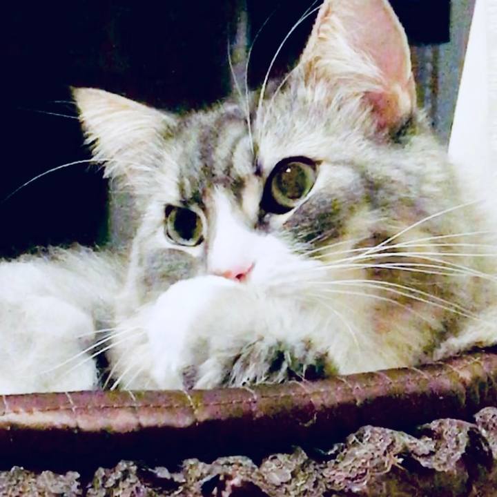 C591f9c0 3287 415f bb96 793b78f1f0dd 1656608826646