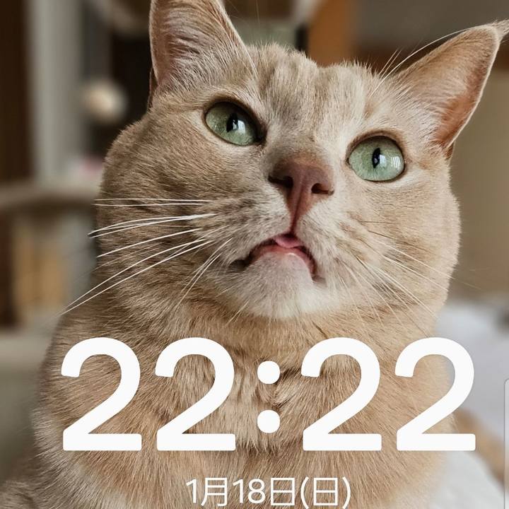 C591fe29 b755 4bc5 8796 cf12c7411e74 1768742630515