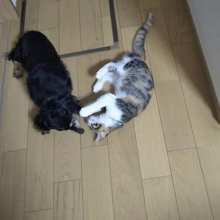 C59207d9 76eb 4144 b607 2a6c72adcccb 1629848632018