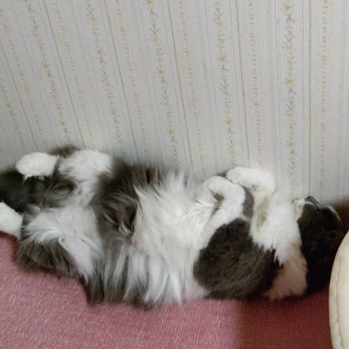 C5920b2b 00a7 4c9f be02 9206676306df 1601594822439