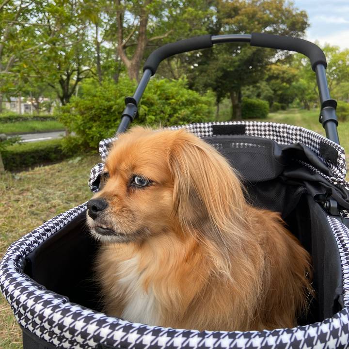 C5920d4f 969c 4f30 981a 2d1b15ce018c 1623359645003