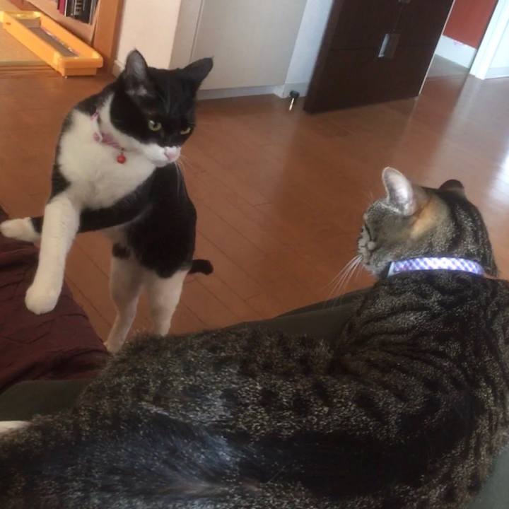 C59281dd 1b19 443e a613 491c5664f160 1591666554529