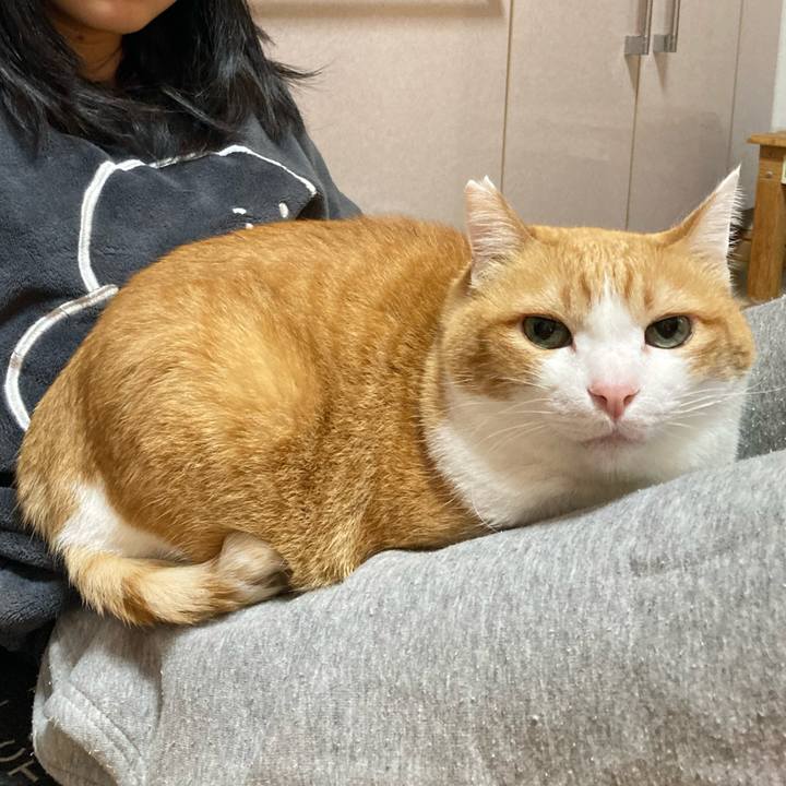 C592eb89 4615 4473 83c7 7f6e8eb8e91c 1765691719027