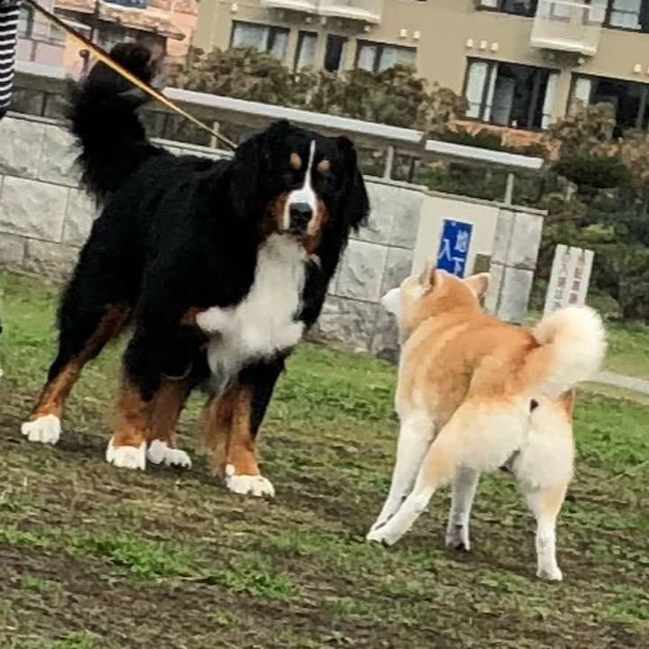 C592f777 78b0 4a8c 95ca 7cbb824a8b53 1542339231548