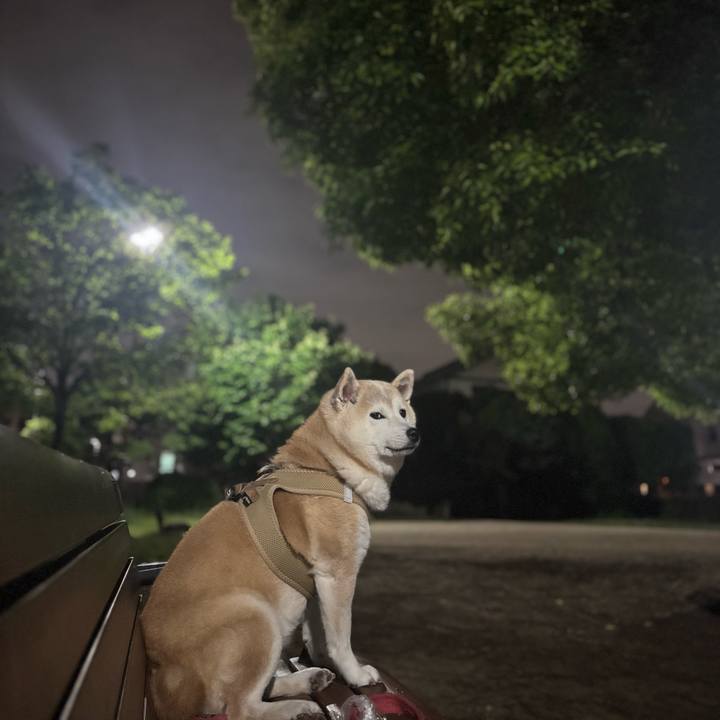 C592feab be7d 4526 8bb5 99d674a0cf8d 1746825100011