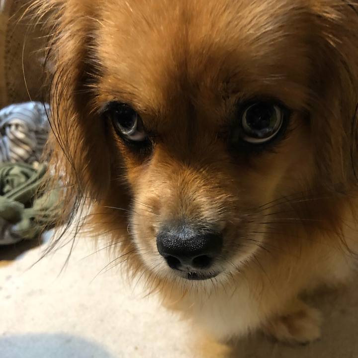 C5930154 95eb 4afe bd0b 8f4fa3feb48d 1563225971107