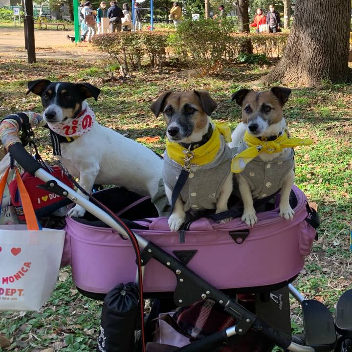 C5930393 f0ec 4f1a b911 3365d081f926 1606568885571