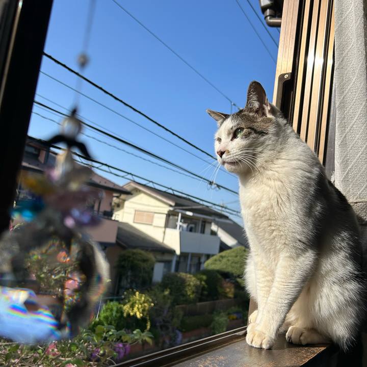 C5930723 0f1a 4558 972c 0e935e95bca5 1713525228735