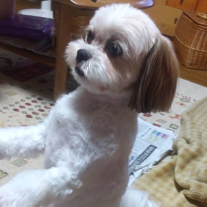 C593259c 0d90 44ac 95b3 dedd961ec90e 1596283369635