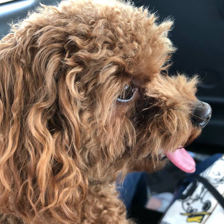 C5934f7d 6f54 49ae 9221 b2cb6eaa22bf 1525146139757