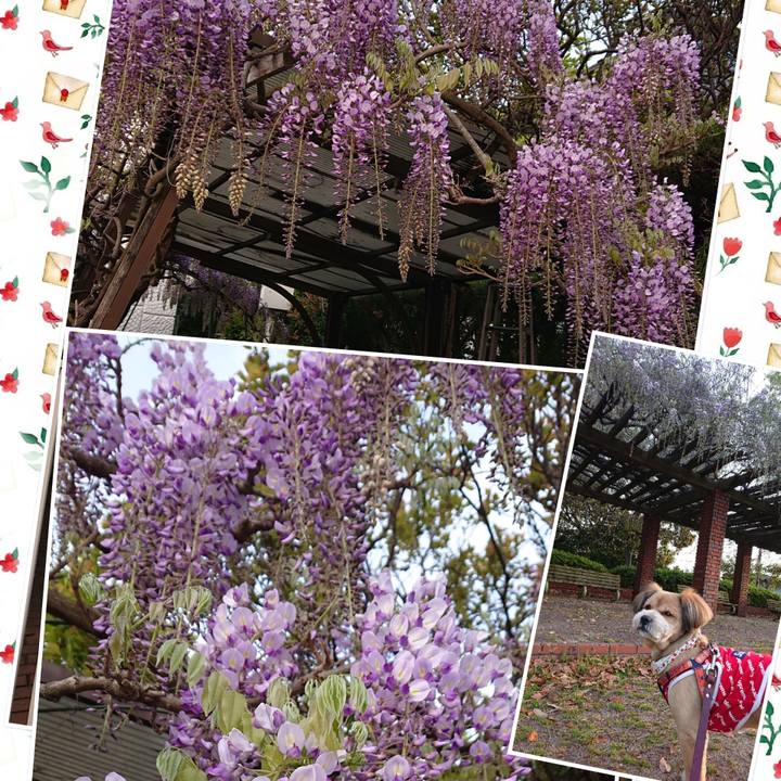 C5936745 228d 41d0 85c5 2f9c7e9914ff 1555365629526