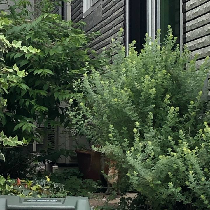 C5936c6e da83 4453 8ea2 7615e7ea5683 1561233951504