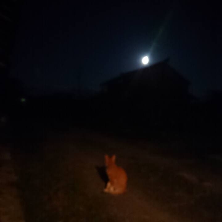 C5937670 c993 4282 aeb7 7d5d9c1587f9 1568368963169