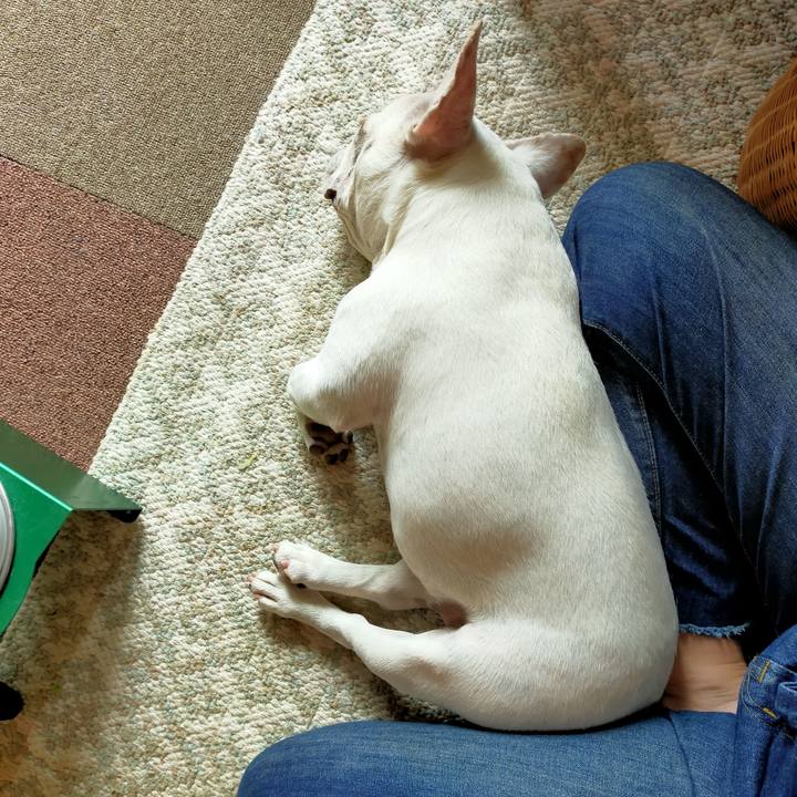 C593ad6c 0435 43c1 a014 583e35aa8f6a 1661553988364