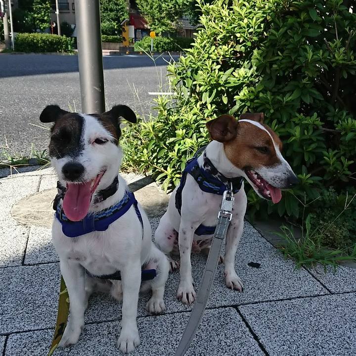 C593b8ae 6c3d 4e78 ae38 fe68a9d9e3b1 1534285411721