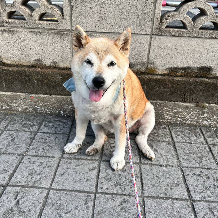 C593d5e8 104e 411b 99db 7d13d77c84a9 1751929936482