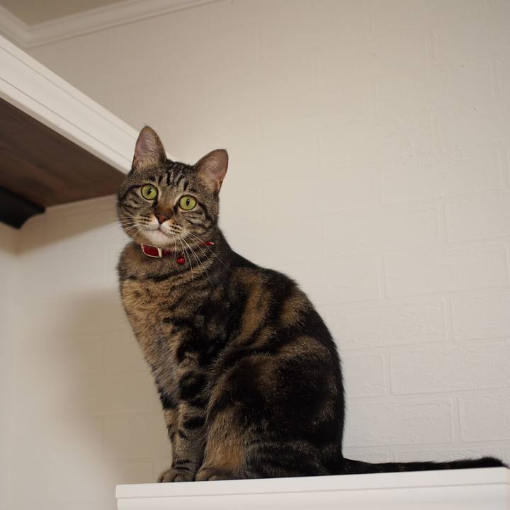 C593f54b 85e9 4ff8 b367 58b651a696c5 1562375996399