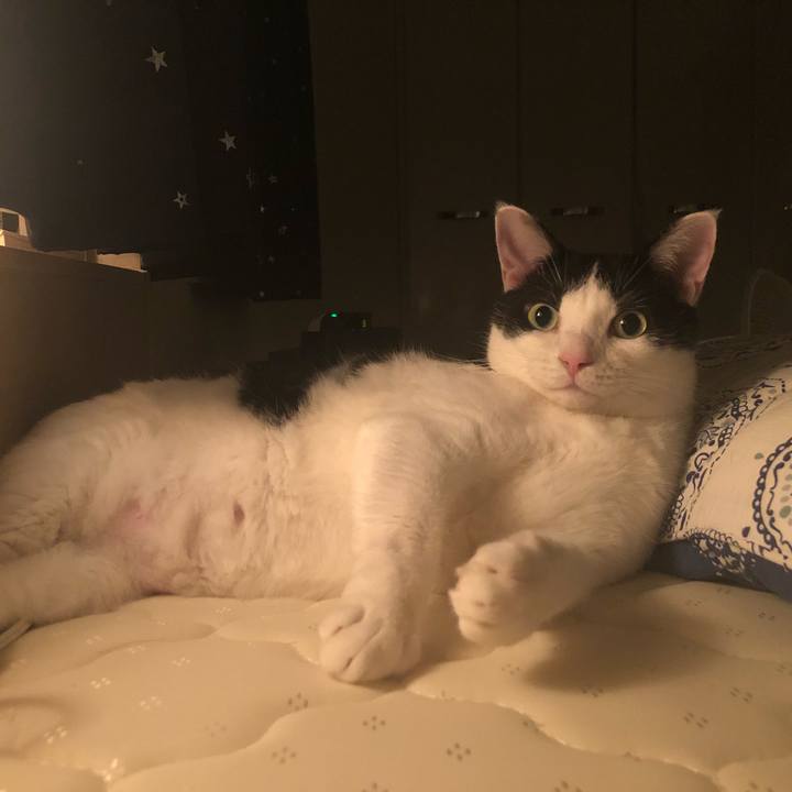 C5942e38 fb7f 472c 88d4 30114bc6a29c 1534176471225