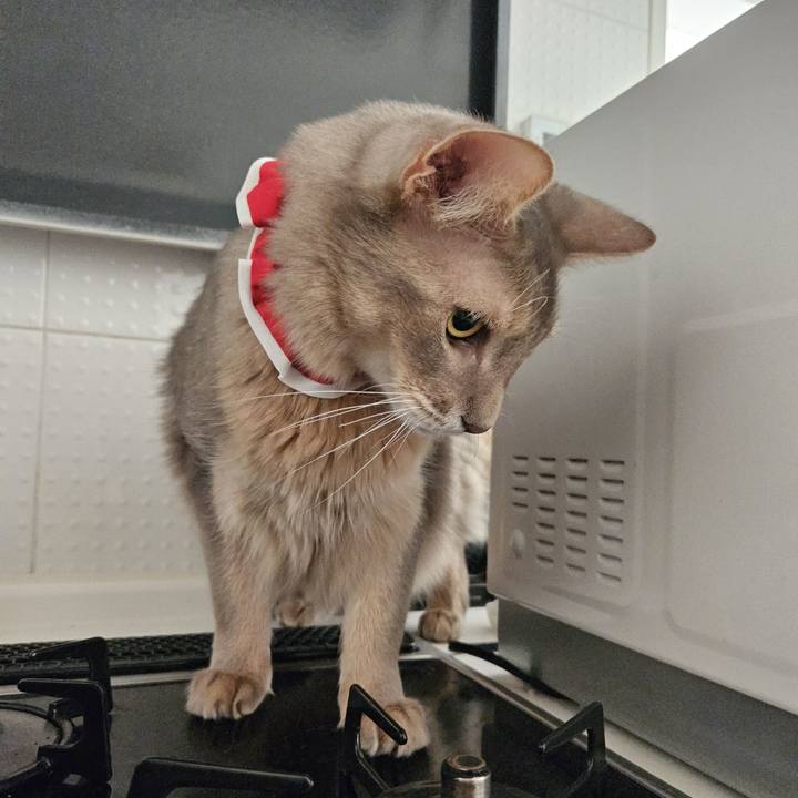 C594508c 9c44 49e9 8596 7e0e3242de2f 1702946012452