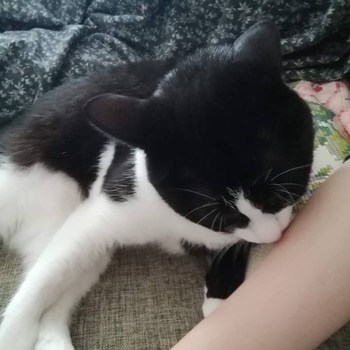 C5958781 442f 4eb1 bf18 713d52c8e346 1563545302764