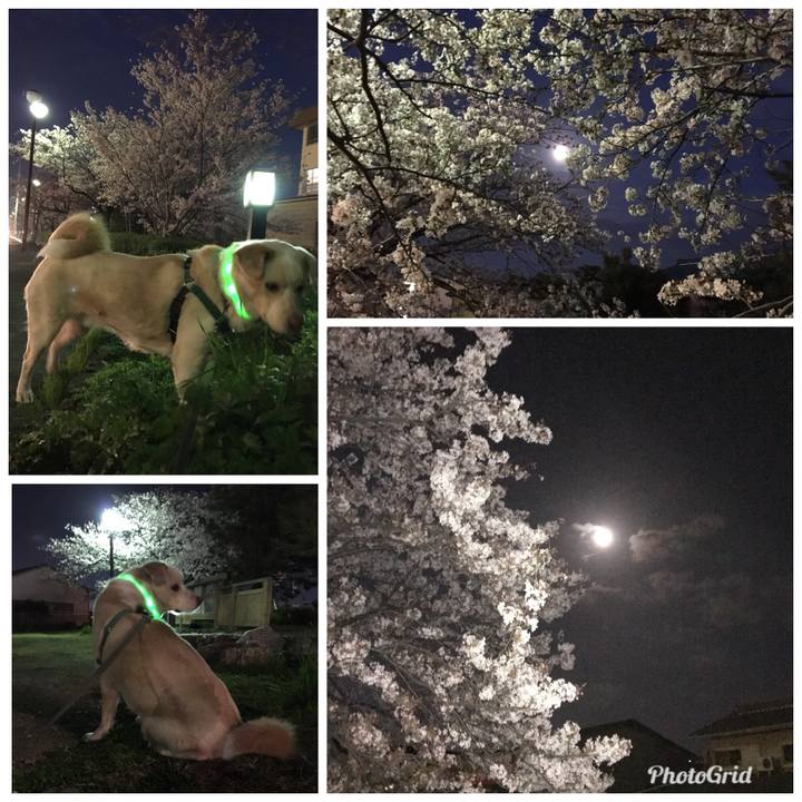 C5958fea 4184 4530 a8b8 d08868c5773c 1522413327062