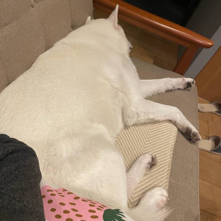 C595b215 96c0 4ae4 92e8 da23cb9a0f60 1767756878037