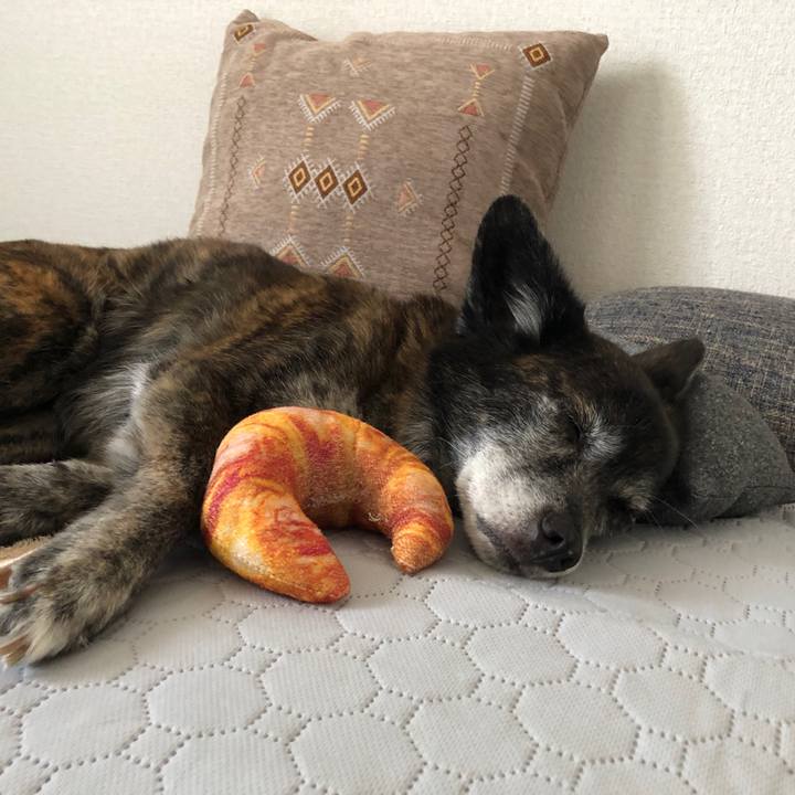 C595c0d9 5cd2 4697 9168 df11cc642a46 1690432172798