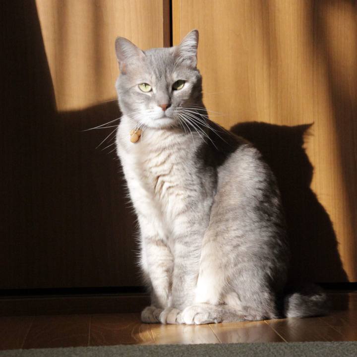 C595e8d5 8c4d 462e 90bd 6d4577159294 1585038716478