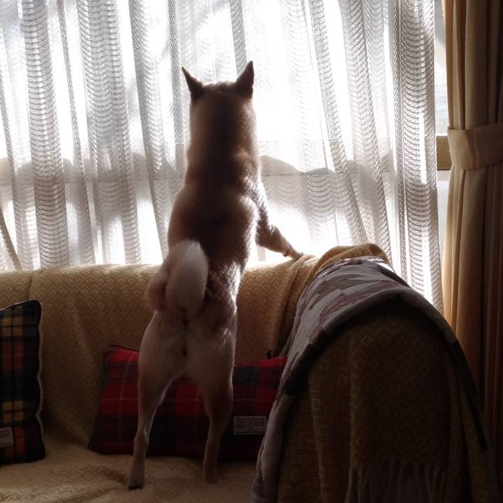 C595ebb3 a0eb 4190 a779 cbfd74bec6cf 1545273352694