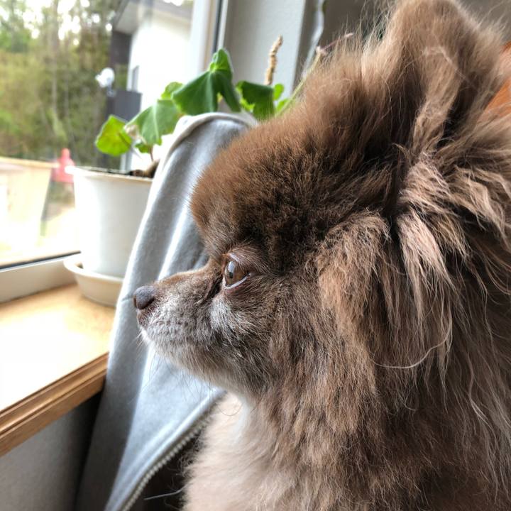 C595f4b4 60e9 448e b3b3 bea8ce80f187 1558039358383