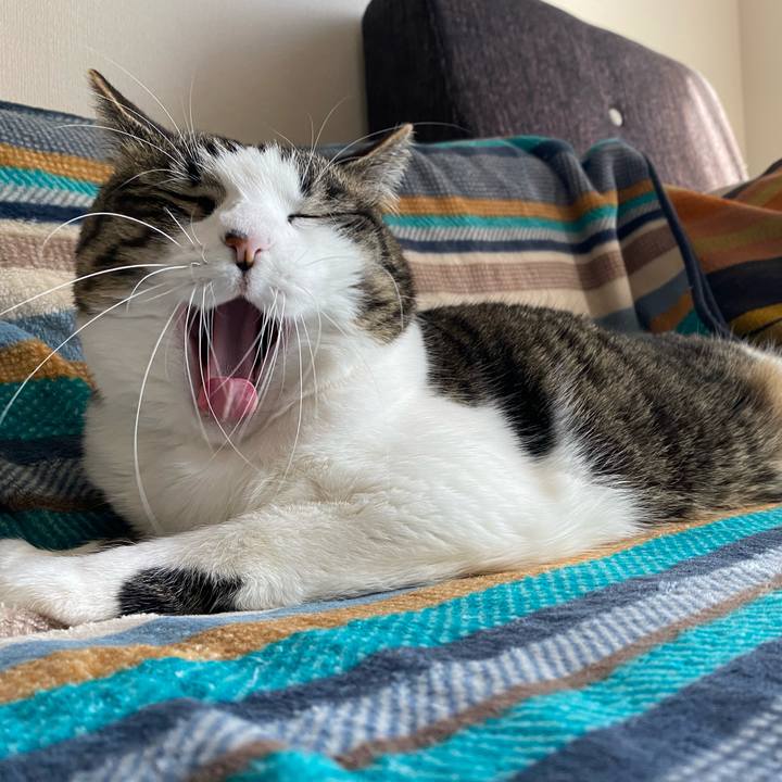 C595ff38 634e 4a1d 85d8 0a1e26475a82 1611973196419