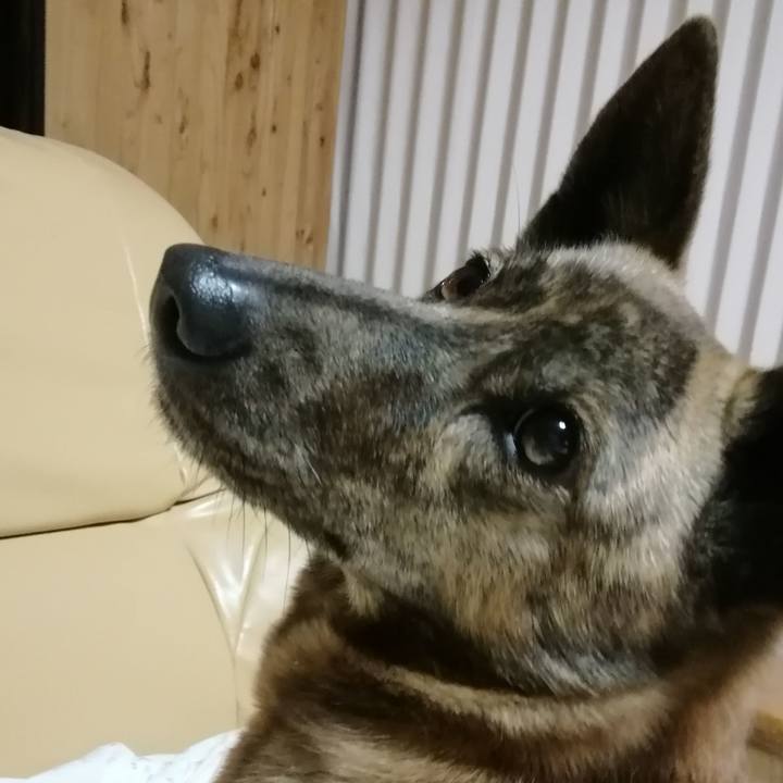 C5963147 679a 4668 8d8a 39146f1b6aae 1546608025951