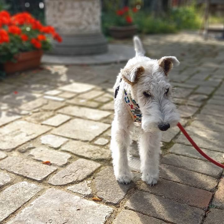 C5963360 2a82 4917 b7b2 fccac5ccafe6 1614956442563