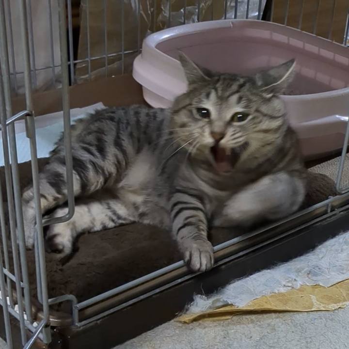 C5964c72 617e 4bd6 8653 598ad6ef32b7 1701310358202