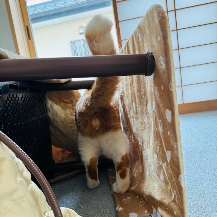 C59653c0 b2f2 406a a976 de6a6bb2d161 1764642033195