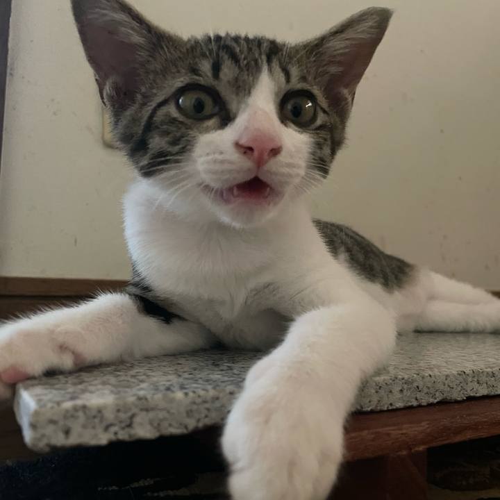 C5966612 d00a 44f5 9bbe addfc1e74884 1723349663660