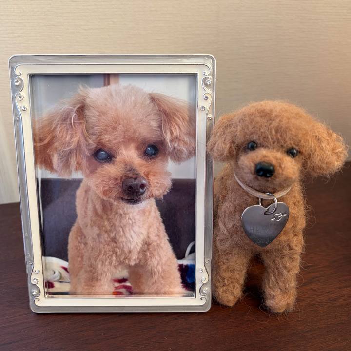 C59696b5 143d 4714 9d25 4298ed4b5c77 1773300827409