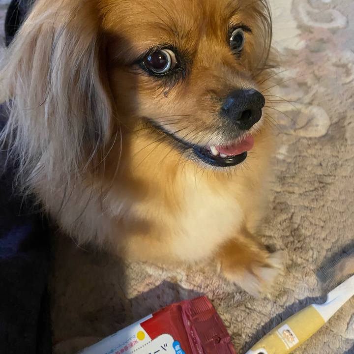 C596a48e 7753 4381 94f6 d98522dd28a5 1596144570205