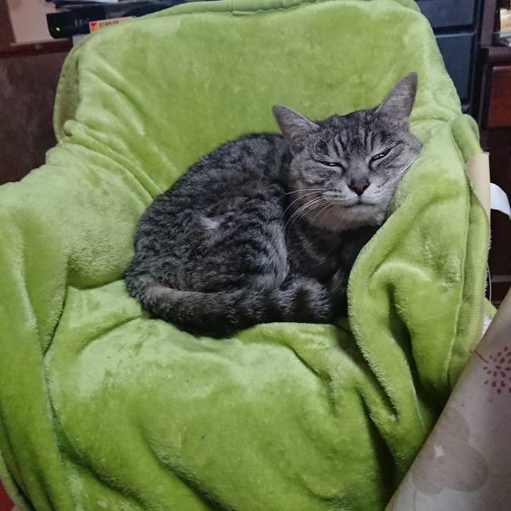 C596a66d 867a 4696 b425 5829073d1116 1582927050786